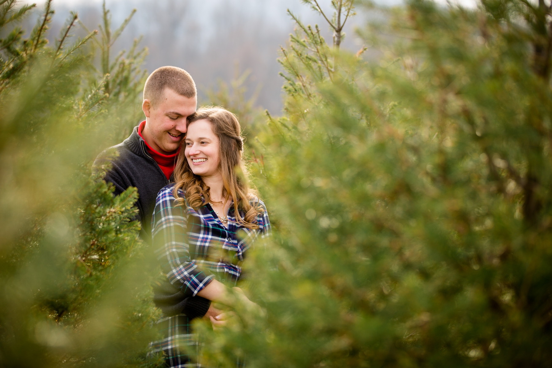 Eckler Christmas Tree Farm Couple Photography